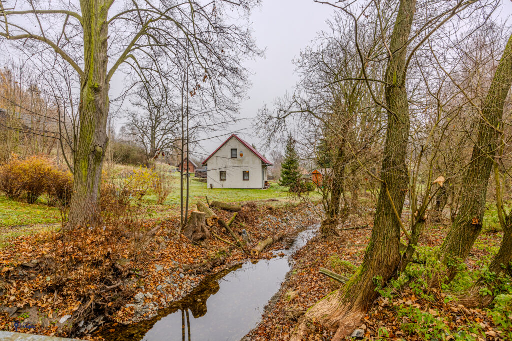 Vojtěch Vajda_profifoto-27